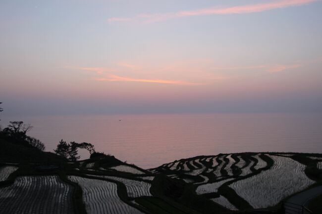 「白米の千枚田」は、能登半島外浦沿岸の輪島と曽々木の中間部に位置し、高州山の裾野の国道２４９号線と日本海に挟まれた斜面に沿って、１０００枚もの小さな水田が海岸線まで続いており、大海原と棚田が織りなす千変万化の表情は、数ある棚田の中でも有数の景観美と称えられています。<br /><br />日本海へ滑り落ちる斜面に沿って等高線を描く畦、キラキラ輝く大海原と行き交う小舟、背後の山や棚田のそこかしこで木陰を作る木々、水を張った水田を赤く染める夕日、そして黄金色に頭を垂れる稲穂など、見る時間、場所、季節に応じてさまざまに表情を変える棚田の美しさは、見る者に感動を与えてやみません。<br /><br />一般的に、「千枚」は数が多いことを例える言葉として使われるのがほとんどで、実際に水田が千枚に満たない場合でも「千枚田」と呼ぶ所が少なくありませんが、ここ「白米の千枚田」は１００４枚を数えることができ、正真正銘の「千枚田」です。<br /><br />狭くて複雑な地形ゆえ耕運機の通行もままならない棚田の農作業は、昔ながらの手作業に頼らざるを得ず、平地の数倍もの労力を必要とするため、日本各地の棚田がそうであるように、白米の千枚田でも後継者不足は深刻な問題で、この素晴らしい棚田を後世に残そうと取り組んでおられる保存活動の一環として、２００７年春からオーナー制度を導入されています。<br /><br />今回、田植え直後の畦道を歩き、十数株の苗しか植わっていない、猫の額も無いくらい小さな水田を見て感じたのは、「白米の千枚田」の美しさは、農作業の困難さと引き換えに得た、かけがえのないものだと云うことでした。<br /><br />この様に美しい棚田を舞台に、地元の皆さんによりいろんなイベントが行われています。<br /><br />稲刈りが終わった後の棚田に３０，０００個の蝋燭を灯す「あぜの万燈」、１１月〜３月の冬の棚田に２１，０００個のペットボタル（ソーラーＬＥＤ）を灯す「あぜのきらめき」などの「灯り」のイベントや、秋の稲刈り時には、輪島市長ご夫妻のお仲人のもと、新郎新婦が最初の共同作業として稲刈りを行うなどの大変ユニークな結婚式も執り行われます。<br /><br />この日は、田植え後の水を張った棚田に映える夕焼けも見たいと思っているので、日没までの時間を利用して、能登に残る史跡、時国家を訪れます。<br /><br />時国家は、源平合戦の壇ノ浦の戦いに敗れ、能登に流された平家の武将・平時忠の子、時国が起こしたもので、平家の子孫である時国はしばらく山中に身を潜めていましたが、源頼朝の手が及ばないことを悟ると、平家の姓を捨て、実名の時国を姓として時国家を興し、町野川の地（現在の輪島市町野町）に館を構えたと云われています。<br /><br />その後、廻船業や製塩業の主導権を握り、次第に勢力を伸ばした時国家は、困窮する近隣農村の救済にも努め、この地を治める豪農として長きにわたり繁栄し、江戸時代には天領、大庄屋として名字帯刀を許されました。<br /><br />寛永年間（１６２４年〜４４年）に、時国家は上時国家（本家）と下時国家（分家）に分立しますが、現存する上時国家は、１８３１年から２８年もの年月をかけて建てられた大規模な建物で、豪華な内装に当時の面影を見ることができます。<br /><br />下時国家は、壇ノ浦の戦いで命を落とした安徳天皇（時国の従兄妹の子）を祀っており、本家とともに約８００年に亘る歴史を積み重ね現在に至っています。<br /><br />では、道の駅「千枚田ポケットパーク」に車を停めて、棚田歩きを始めます。