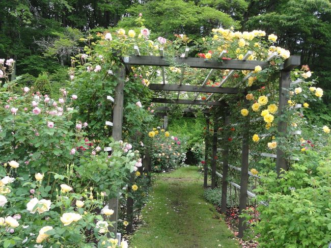 バラの花を見に行きました<br />小物も上手に使って素敵な庭園でした