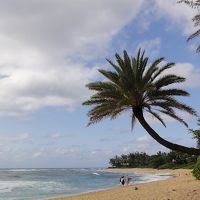 2014年GW 初めてのハワイ旅行4　ハレイワ&タンタラス