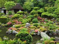 京都を歩く(203) 等持院　サツキ咲く庭園へ