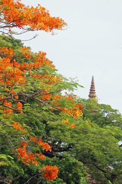 曼谷戒厳令之旅（７）遅いランチの後はアユタヤ王朝の遺跡と寺院を巡りながらも観光を切り上げ、バンコクのホテルでイタリアンのディナーを楽しむ。