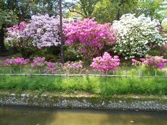 一宮市浅野公園「つつじまつり」