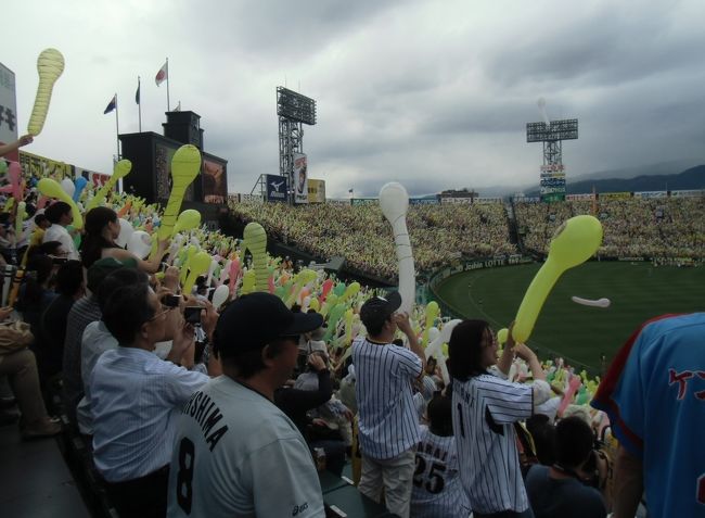 人生初の阪神甲子園球場でドラゴンズをビジター応援。<br /><br />広島 神戸 仙台の 屋外球場でビジター観戦を堪能してきたのに<br />未だ甲子園に乗り込んでいない事実が、何とも もどかしくて<br />2014年の公式戦日程の発表直後、この日の観戦を決意。<br />2月25日のチケット発売初日に ビジター応援席を確保。<br /><br />(ここだけの話)「野球場に 屋根は要らない!」<br />