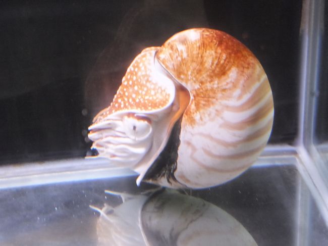 三谷温泉明山荘に宿泊し、翌日に竹島と竹島水族館を見学。<br />その後、岡崎で八丁味噌工場を2軒見学。<br />リーズナブルな旅行でした。