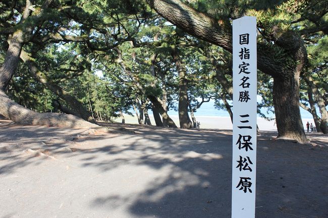 当日朝、静岡市まで行くことを決めましたw<br />静岡市までは静岡市内で用事があるという人に乗せていってもらいました。行きの車の中でどこに行こうか考え、新静岡を起点に下記のように周りました。<br /><br />新静岡バスターミナル −(バス)→ 日本平ロープウェイ停留所=日本平駅 −(ロープウェイ)→ 久能山駅=久能山東照宮 −(徒歩)→ 久能山下停留所 −(バス)→ 万世町で乗換 −(バス)→ 三保松原入口停留所 −(徒歩)→ 羽衣の松 −(徒歩)→ 御穂神社 −(徒歩)→ 羽衣海岸散策 −(徒歩)→ 三保ふれあい広場停留所 −(バス)→ 新清水駅 −(静鉄電車)→ 新静岡駅<br /><br /><br />★かかった費用 約4500円<br />静鉄1日フリー乗車券 \1200<br />日本平ロープウェイ(割引券使用/片道) \500<br />久能山東照宮拝観料(社殿と博物館) \700<br />※その他、神社お賽銭ご朱印、飲食、高速料金片道分等<br />