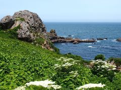 連れ合いは入院中～！だけどごめんね！十年ぶりの１人旅に行ってくるわ！　①　★☆荒々しい奇岩の磯辺、砂浜、松林、天然芝生が海際まで広がる海岸・・・と次から次へ風景が変化する海岸線☆★青森県八戸市・種差海岸☆★小舟渡～白浜★☆