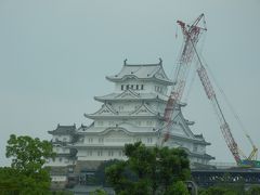 両親とランチ☆　あ、官兵衛もね♪