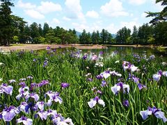 平安時代の優美な庭園で、あやめを愛でて・・・　～世界遺産・毛越寺（平泉）～