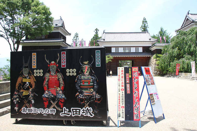 信州真田家 上田城跡公園 を 散策 ( 上田城と真田幸村 ) <br /><br />上田城は、甲斐武田氏の旧臣である真田昌幸により、1583年(天正11年)に築城された平城(ひらじょう)である。真田昌幸が二度にわたる徳川軍の攻撃を撃退した上田合戦が行われたことで有名である。第二次上田合戦後、関ヶ原の合戦にて、真田昌幸、信繁(幸村)が属した西軍が負けたため、上田城は徳川軍に徹底的に破却され堀も埋められた。江戸時代には上田藩の藩庁が置かれ、真田氏が信濃国松代へ転封された後は仙石氏が入城し、破却された上田城を現在のような姿に再建した。<br /><br />上田城は日本100名城に選定されています。<br /><br />第一次上田合戦では父「昌幸」や兄「信之」と共に徳川と戦い勝利をおさめます。その後秀吉の勧告により徳川と和解します<br /><br />真田家は関が原の戦いより、真田昌幸と息子信繁(幸村)は豊臣方、長男信之は徳川方に分かれる決断をします。<br /><br />第二次上田合戦<br /><br />☆----------sintabiの4トラ関連です----------★<br /><br />白石を訪ねる旅-3『 俺が行かずば誰が行く! 片倉小十郎 白石城 』+【訪ねて知った その史実に驚く!! 信州真田家とのかかわり】白石市 宮城県 http://4travel.jp/travelogue/10524633 旅行時期2010/11/27 <br /><br />