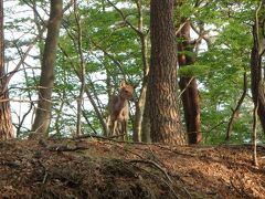 塔ノ岳登山