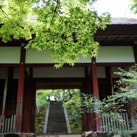 京都で癒されてくる　1日目　法輪寺、天龍寺、常寂光寺、二尊院、大覚寺大沢池、大原魚山園