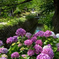 京都で癒されてくる　2日目 三千院、実光院、宝泉院、貴船ひろや、貴船神社、哲学の道