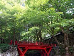 岐阜県揖斐川町「横蔵寺の青もみじ」