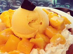 またまたミュージカル鑑賞の旅(「モーツァルト！」編)