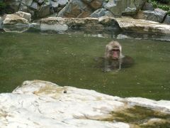 善光寺～湯田中 仙壽閣～地獄谷野猿公苑～小布施～のんびり二人旅②