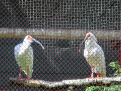 【2012年夏：家族旅行-１】佐渡 ２泊３日