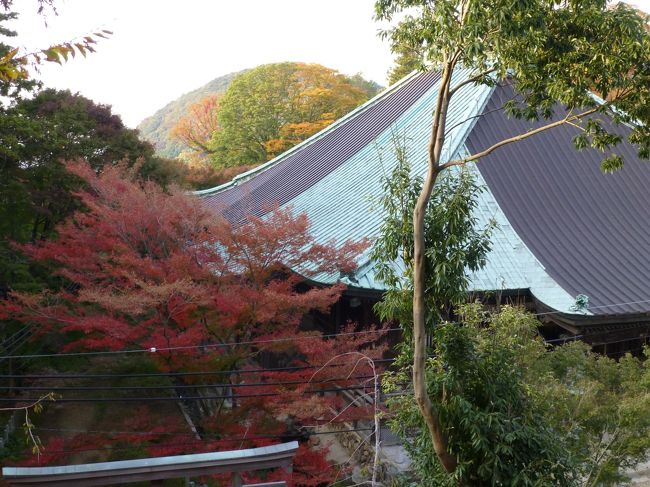 昼からの出発でした。