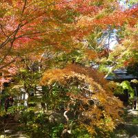 2013年秋の鎌倉　２　覚園寺と鎌倉文学館と長谷寺