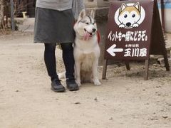 犬と一緒に那須高原へ旅行　その２