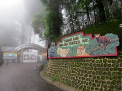 Padmaja Naidu Himalayan Zoological Park　標高2000ｍ・・・憧れのヒマラヤ動物園は雲の中