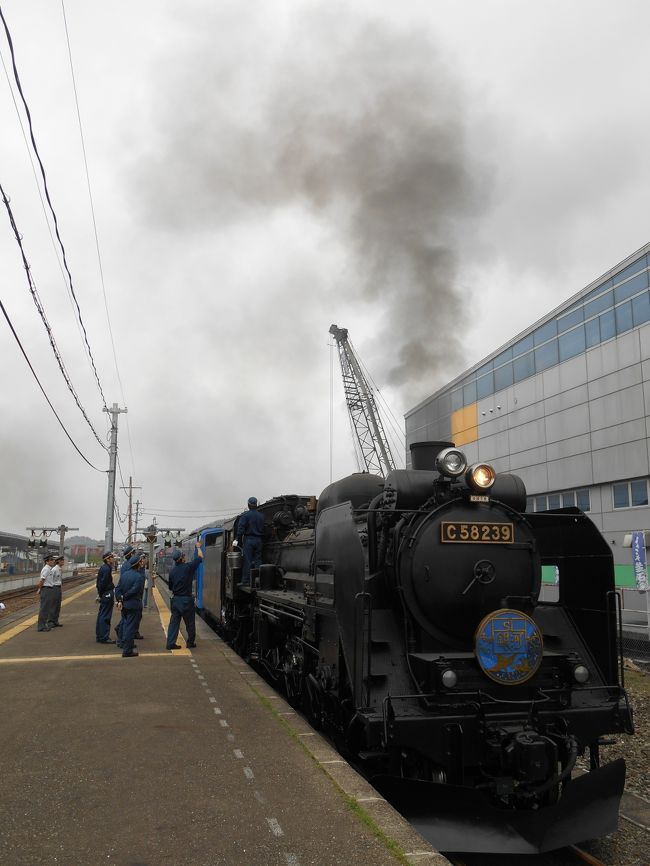 ４日目最終日、ホテルを早目にチェックアウトしてＪＲ釜石駅へ散策しながら移動。<br />すでにＳＬ銀河の雄姿があり、テンションも上がります。<br />釜石駅のＳＬ検修庫から機関車が出発し、ホーム番線を切り替えながら<br />客車が待つホームへゆっくりと移動してきます。<br />そして連結するところも見れて乗る前から感激です！<br />沿線の皆さんの笑顔と手を振る姿に感動しながら帰路に着きました。