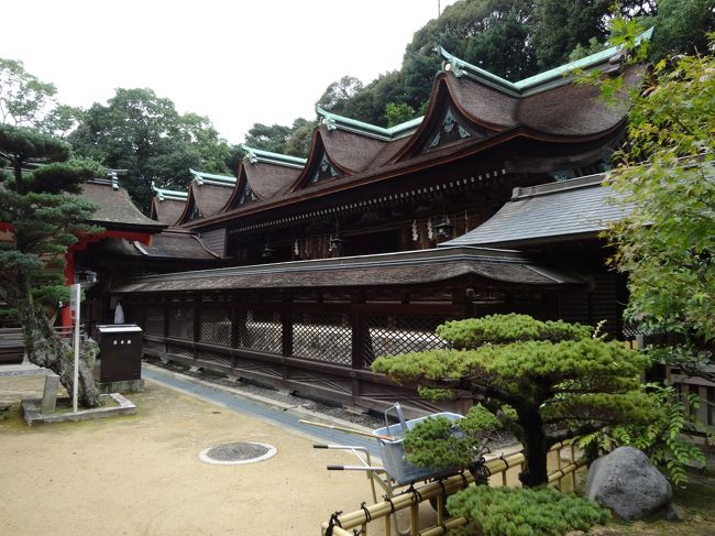 住吉神社に行ってきました。<br />写真の「本殿」は「国宝」に指定されています。<br />「日本三大住吉」の一社です。