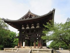 １人で歩く夏の奈良☆東大寺大仏殿・大鐘・俊乗堂・行基堂・念仏堂☆子鹿がいっぱいヽ(^o^)丿