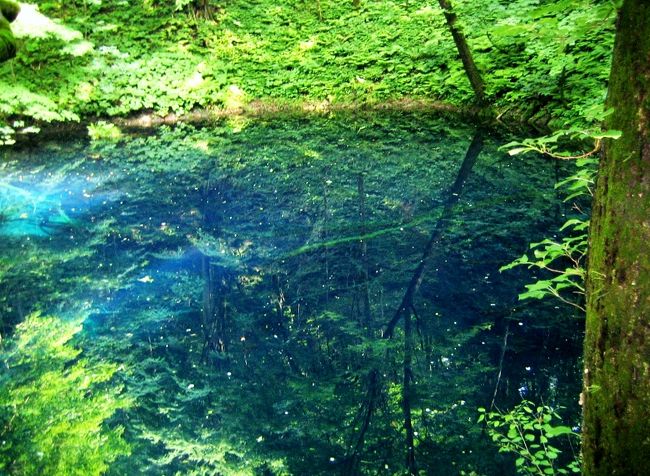 思い出の青森（リゾートしらかみで行く～十二湖、青池）