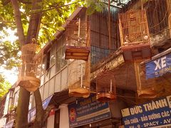 特売でハノイ！