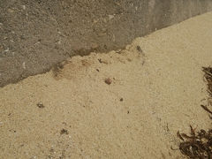 宮古島と台風 ４日目！