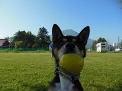 車中泊　2014北海道　再訪の旅　お気に入りの場所