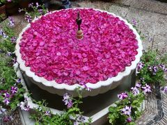 MILFLORES コルドバ パティオ祭で mil flores（千の花々）に埋もれる　-7-　JUDERIA 地区（ユダヤ人街）