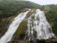 世界遺産を巡る。屋久島編①（２日目紀元杉まで）。2014年6月