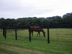 母娘で行く！　ちょっぴりハードな夏の道央2泊3日⑤