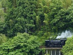 鉄道風景写真シリーズ　第4弾　”大井川沿線を走る新緑の大井川鐵道とその風景”