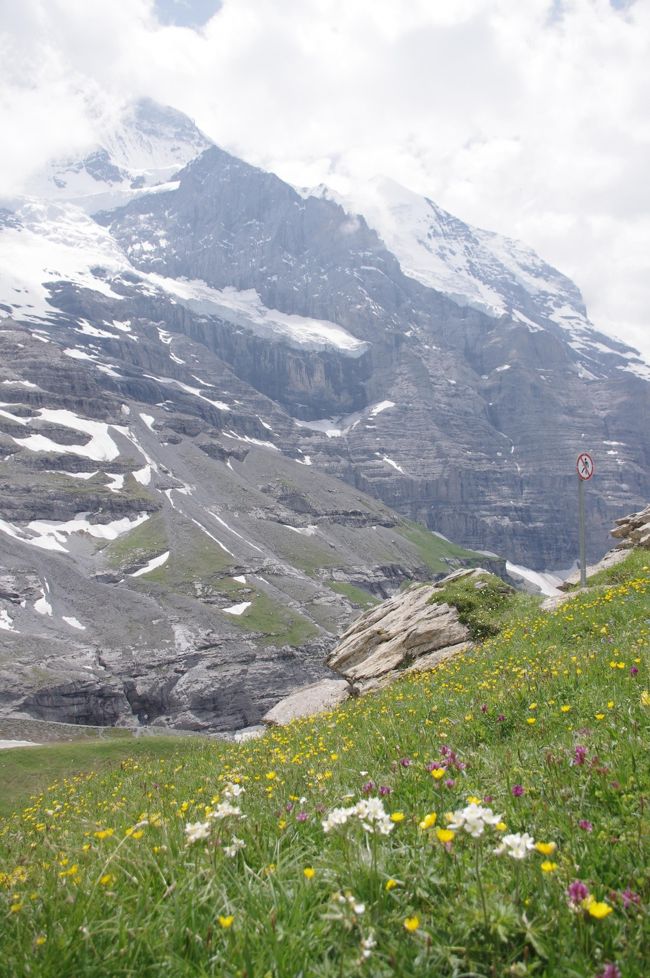 スイスアルプス　絶景と花に酔う 3日目パート2～アイガー氷河眺望ハイキング～