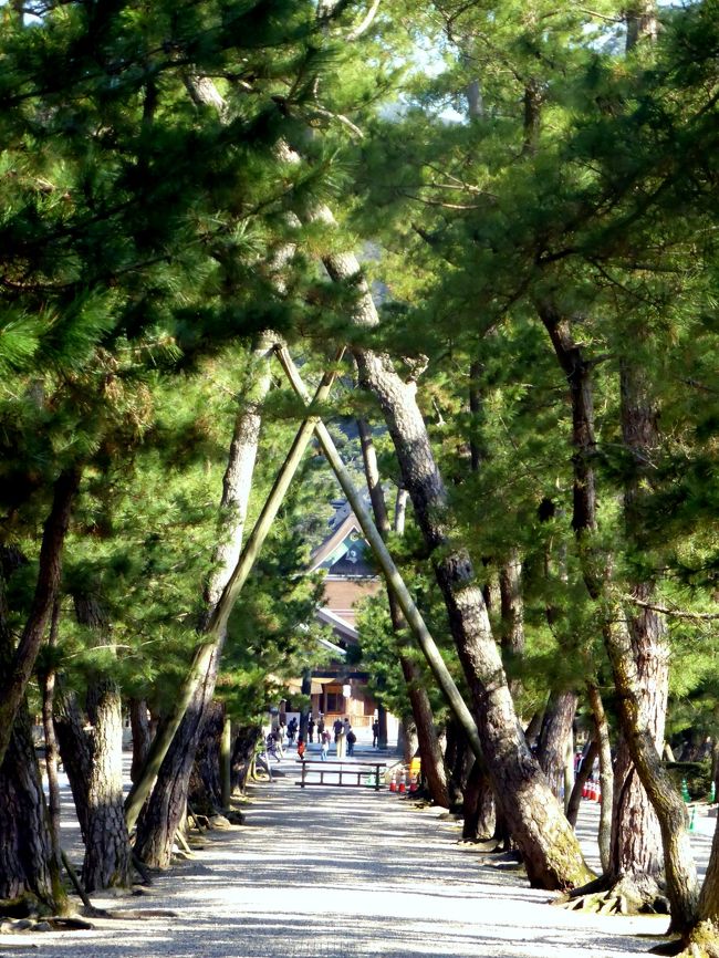 実際の旅では朝”竹野屋”を出て直ぐに、出雲大社の参道に向かった。<br /><br />その為コンクリートの一の鳥居は潜ることなく、最初に潜った鳥居はが出雲大社の入口にある木造の二の鳥居”勢留（せいだまり）大鳥居”となった。<br /><br />勢留の大鳥居を潜ると両脇が鬱蒼とした松林に覆われた、三の鳥居のを望む下り坂の参道。<br /><br /><br />下り坂野中ほどの右手に”祓社（はらえのやしろ）”が建っており、その裏手は出雲大社の背後の八雲山から流れくる素賀（そが）川の清流を留める”浄めの池”。<br /><br />その先の石造の”祓橋”を渡った袂に三の鳥居”松の参道の鳥居”が建つ。<br /><br />そこから松並木の参道は三本に別れ、中央は一般の通行は禁止の参道。<br /><br />右手に大国主が縁結びの神の魂を与えられた様を現す”ムスビの御神像”、左手には有名な因幡の白兎の物語を現す”御慈愛の御神像”が現れると松林の長い参道が終わり、正面に四の鳥居”銅の鳥居”待ち受ける。<br />