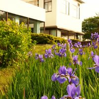 連れ合いは入院中～！だけどごめんね！十年ぶりの１人旅に行ってくるわ！　③　★☆ひとりのせんべい汁はちょっと寂しかった・・・★☆八戸シーガルビューホテル☆★