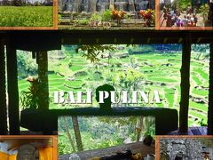 バリ島ウブドの旅３(ゴア・ガジャ遺跡、グヌンカウイ遺跡、Bali Pulina、イブ・オカ、イブ・ライ、サンスパ２、gaya)