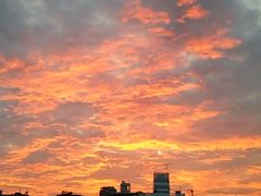 ２０１４年・淀川での釣り「ウナギ・ハゼ・キス」