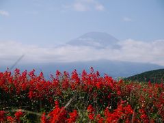 山中湖２０１３年ペンションの旅