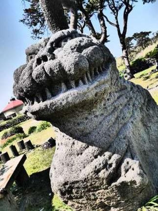 伊豆大島・花と温泉とゴジラの旅２０１３