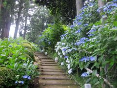 栃木県旧黒羽町にある芭蕉の里へ、紫陽花を見に行きました。