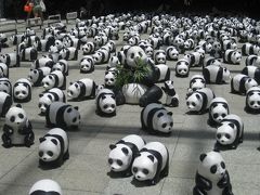 見つけたぞ！1600匹パンダ！