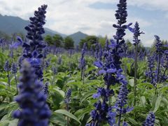 長野へ　～エクシブ蓼科に泊まる旅～