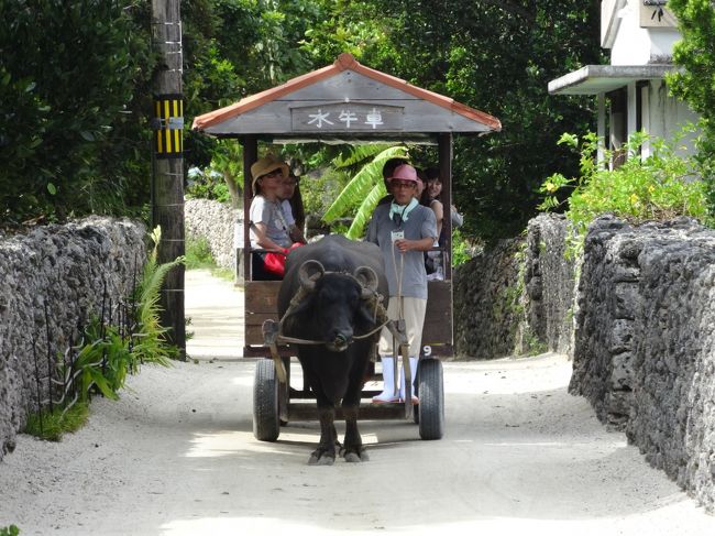 八重山旅行2日目の旅行記です。<br /><br />波照間島へ行く予定で高速船、レンタカーを予約していましたが、<br />早朝の段階で波照間航路は全便欠航になっていました。<br />大型の台風通過の影響でまだ運行が再開されないみたいです。<br />予定を変更して竹富島へ出かけます。<br /><br />2日目は竹富島を自転車で観光します。<br />なごみの塔、西桟橋、コンドイビーチ、カイジ浜。<br />昼食はかにふで頂き、食後にぱーらー南ぬ島でカキ氷を食べます。<br />昨年と同じ友利レンタサイクルで自転車を借りました。<br /><br />台風8号ノグリー通過直後の八重山旅行1日目 石垣島編の続きです。<br />http://4travel.jp/travelogue/10906593<br />