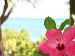 赤ちゃん連れ沖縄旅行２０１４年夏・５泊６日旅（7/9　1日目）