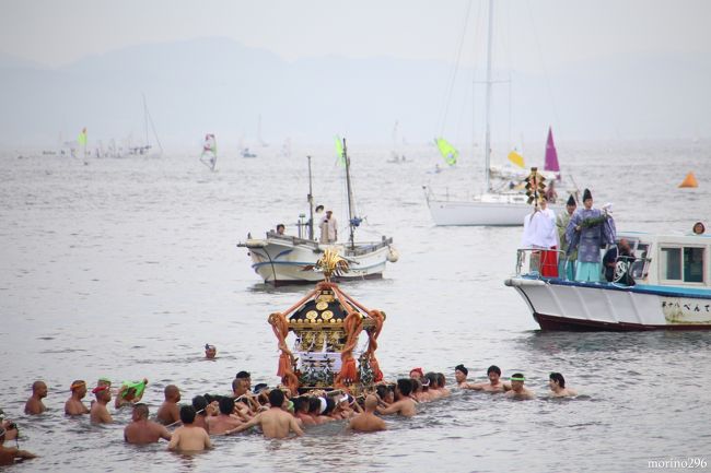 ９年ぶりに江の島の天王祭へ神輿の海上渡御を見に出掛けました。<br />７月第２日曜日、江の島・八坂神社と腰越・小動（こゆるぎ）神社は天王祭を同時に行います。<br />神輿が海に入った後、対岸に鎮座する小動神社へと神幸し、一年に一度会いに行く湘南初夏の風物詩として、「神奈川の祭り５０選」にも選ばれています。 <br /><br />天王祭は、牛頭天王(須佐之男命と同一神といわれる）を祀る祭礼のことで、全国各地で行われています。<br />（古事記では「須佐之男命」、日本書紀では「素戔鳴尊」と記されるそうです。）<br />須佐之男命は、その荒ぶる神であることから疫気を祓う威力も持ち、人々を悪疫から守る善神と考えられていたそうです。<br />この時期に行われる、天王祭、祇園祭は同じ神事のようですね。<br /><br />