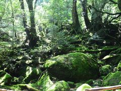 すごく歩いた2泊3日屋久島(３)【もののけ姫の森・白谷雲水峡】