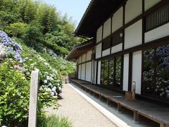 紫陽花と花菖蒲を見に関西花の寺へ！